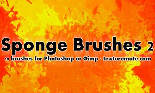 Sponge 2 Brush Pack