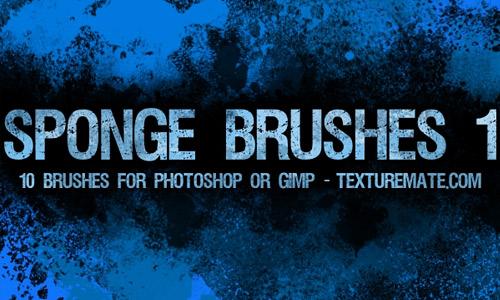 Sponge Brushes 1