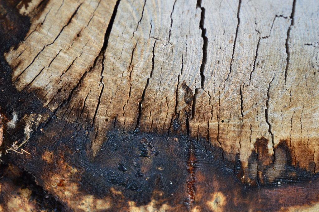 karebear-stock wooden texture 2 by karebear-stock