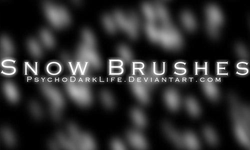 Snow Brushes