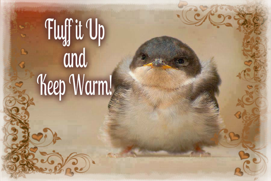 keep them warm