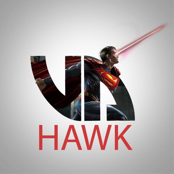 Hawk by ImHashtag