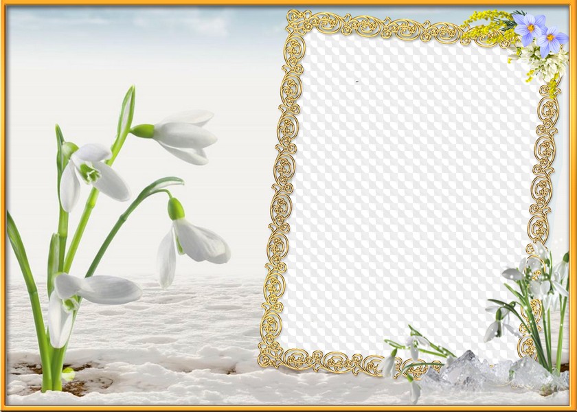 Snow Drops For Photoshop