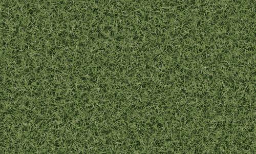 3d Grass Texture with Seamless Tiling