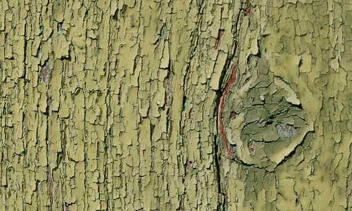 Green Painted Wood1 by LittleBlueStocking
